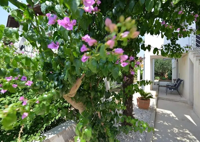 D&J Apartment Zadar