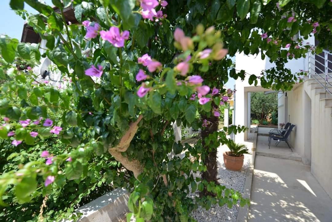 Appartement D&j